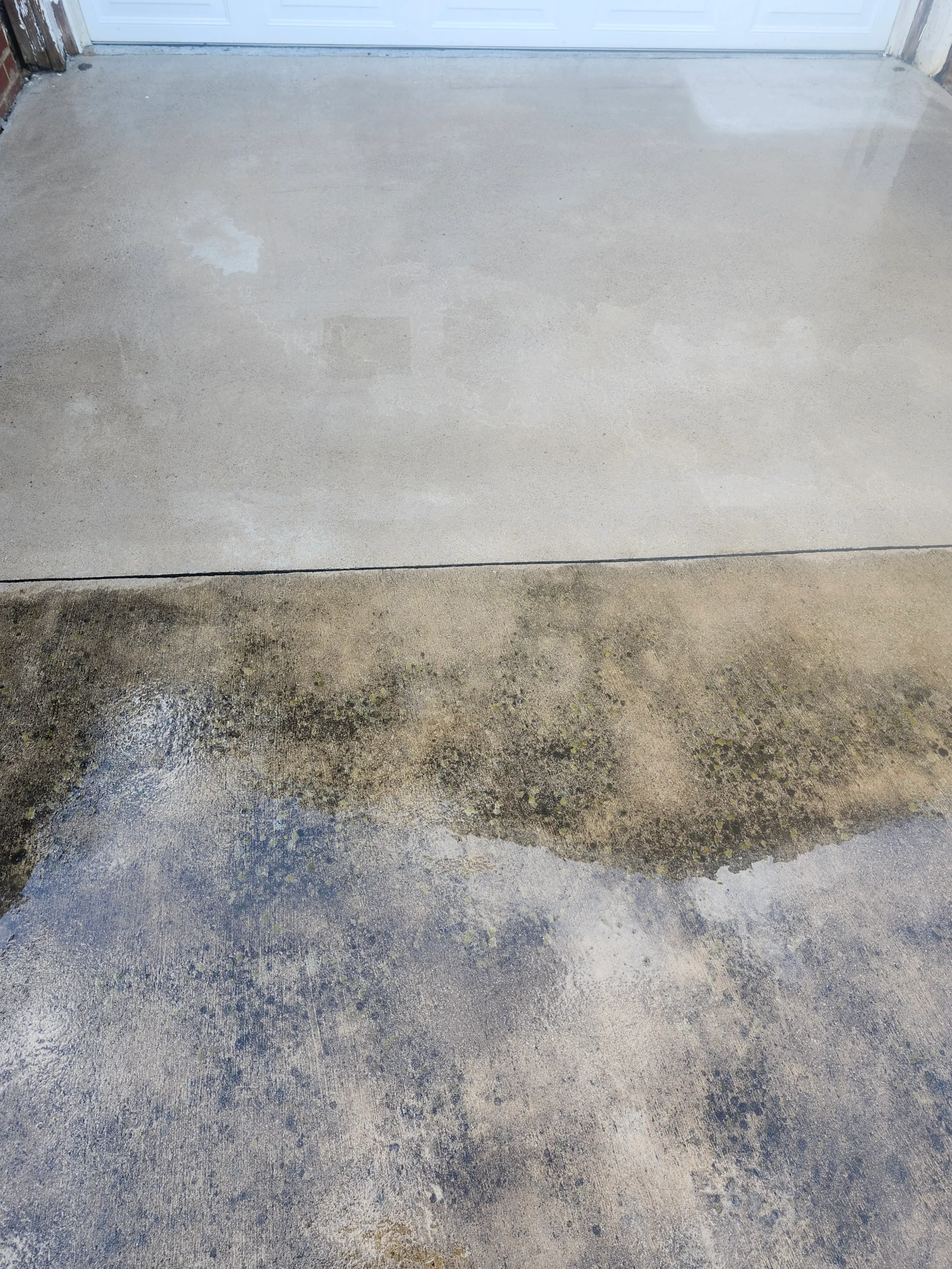 Driveway and concrete cleaning service