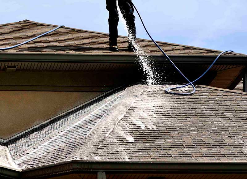 Roof soft washing service